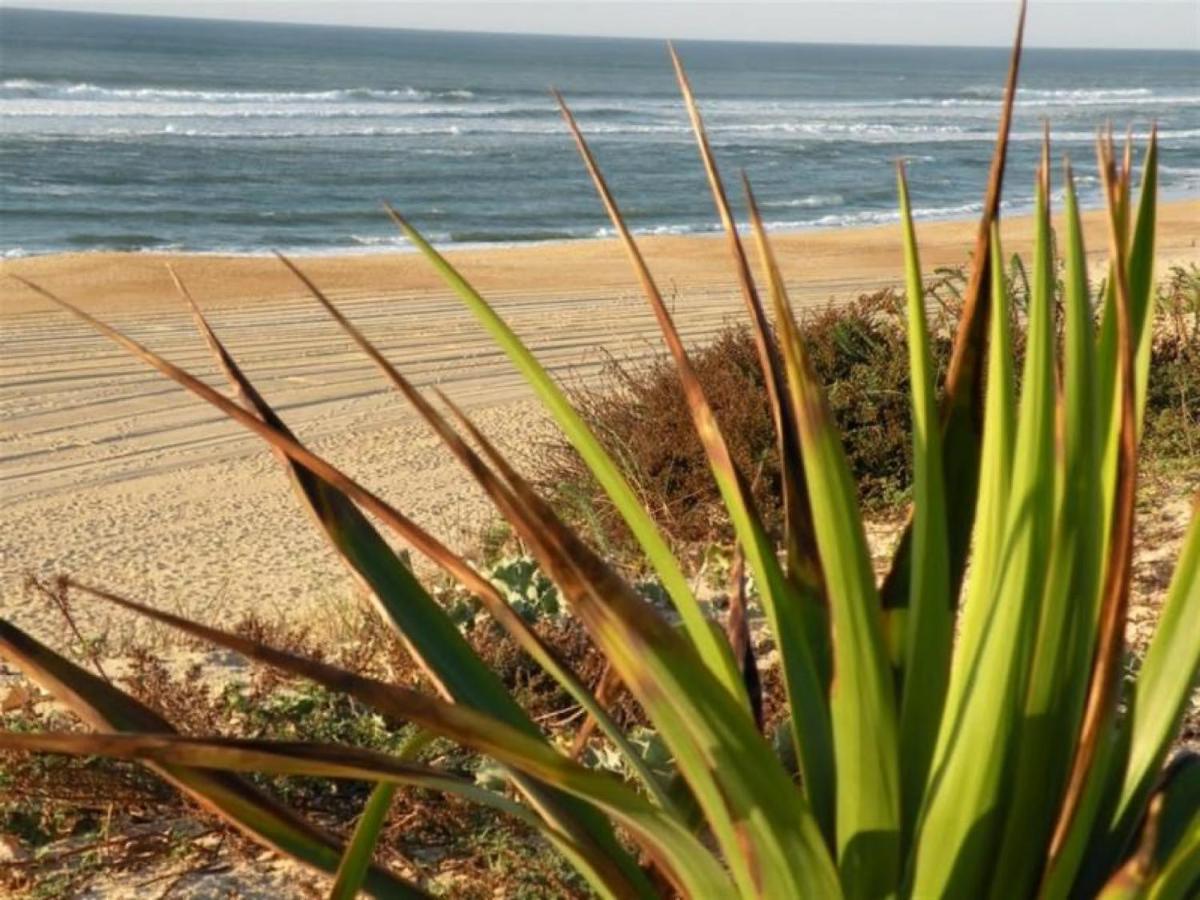 Studio Cosy Proche Ocean Et Commerces, Parfait Pour Des Vacances A Deux! - Fr-1-239-437 Seignosse ภายนอก รูปภาพ